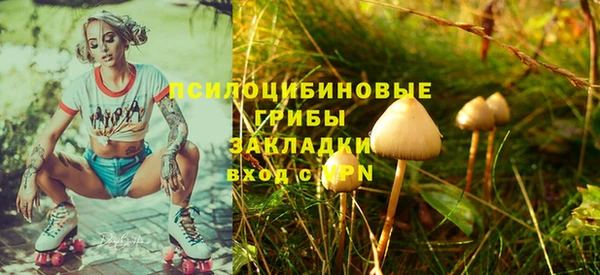 Альфа ПВП Костерёво