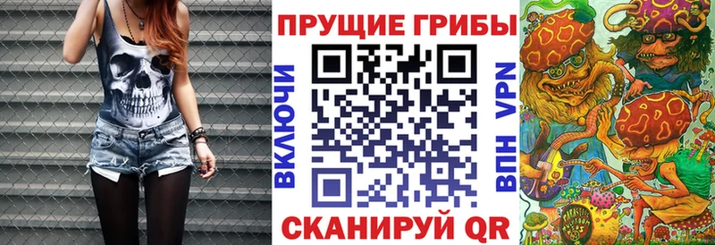 Галлюциногенные грибы мухоморы  Строитель 