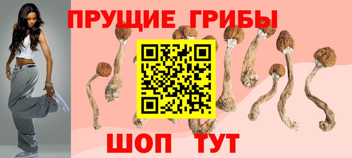 Галлюциногенные грибы мицелий Строитель