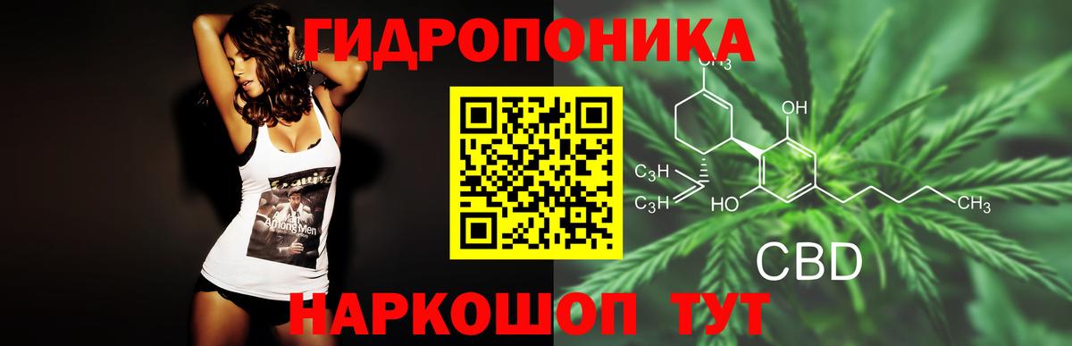 Шишки марихуана семена Строитель